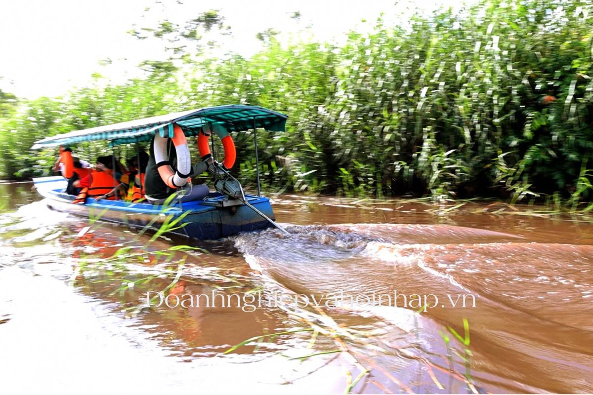Trải nghiệm rừng U Minh Hạ qua hoạt động câu cá.
