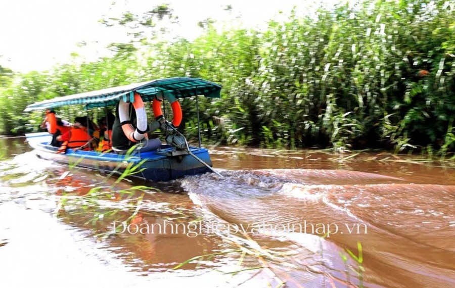 U Minh Hạ qua những sắc màu đặc trưng vùng đất "nghe nói Cà Mau xa lắm"
