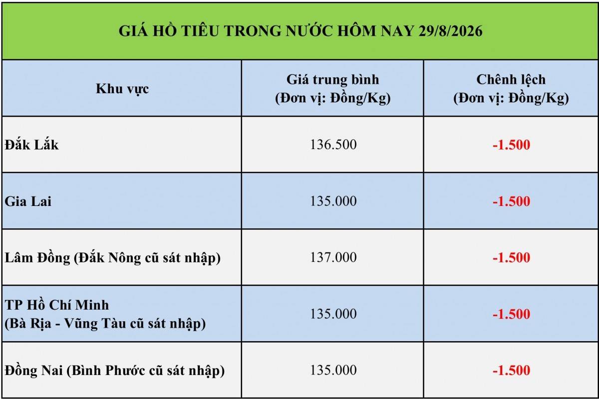 Giá tiêu hôm nay 29/8/2026: