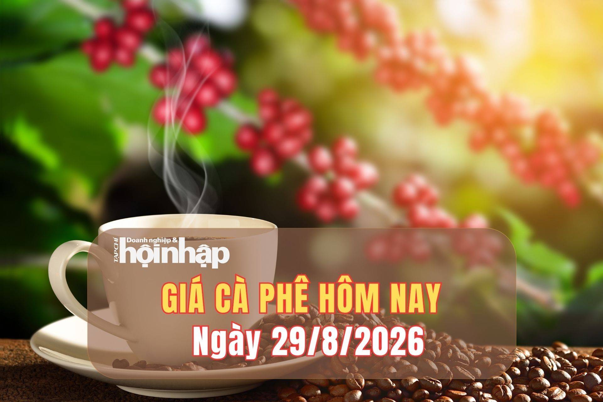 Giá cà phê hôm nay 29/8/2026: Trong nước giảm 1.000 đồng/kg, Robusta suy yếu - Tạp chí Doanh nghiệp và Hội nhập