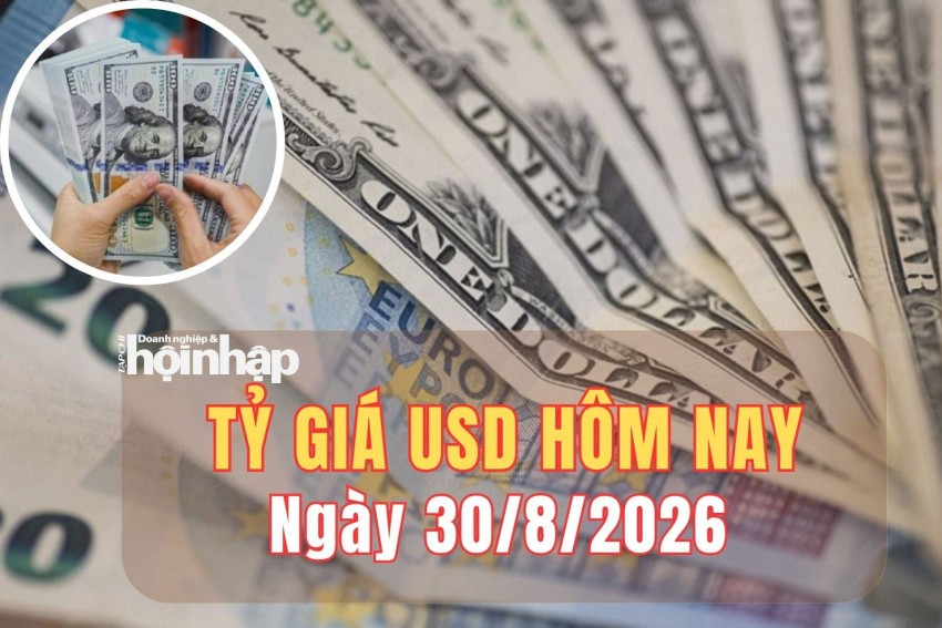Tỷ giá USD hôm nay 30/8/2026: Đồng USD tìm lại động lực tăng giá