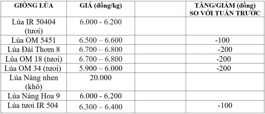 Bảng giá lúa hôm nay 30/8/2026