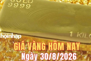 Giá vàng hôm nay 30/8/2026: Vàng miếng SJC, vàng nhẫn đồng loạt giảm mạnh