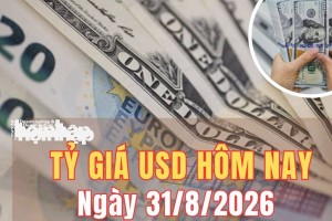 Tỷ giá USD hôm nay 31/8/2026: Đồng USD tăng gần 0,9%