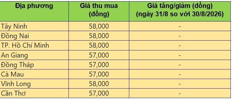 Bảng giá heo hơi tại miền Nam hôm nay 31/8/2026