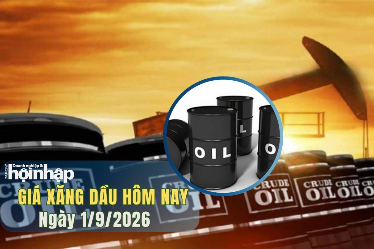 Giá xăng dầu hôm nay 31/8/2026: Giá dầu thế giới quay đầu tăng 2%