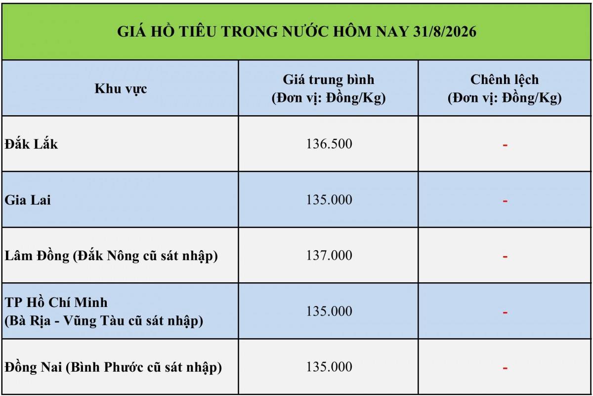 Giá tiêu hôm nay 29/8/2026: Đảo chiều giảm tới 1.500 đồng/kg