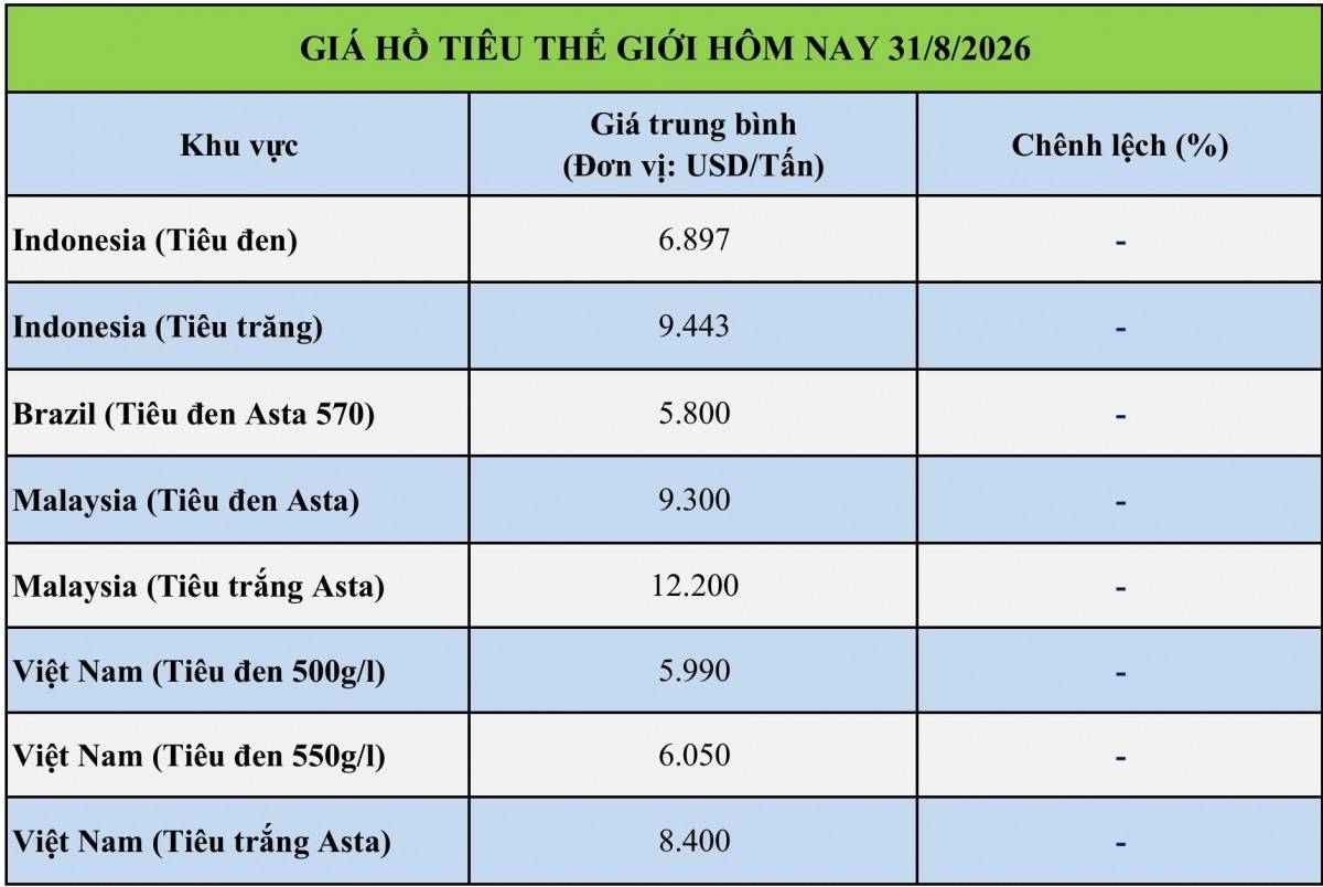 Giá tiêu hôm nay 29/8/2026: Đảo chiều giảm tới 1.500 đồng/kg
