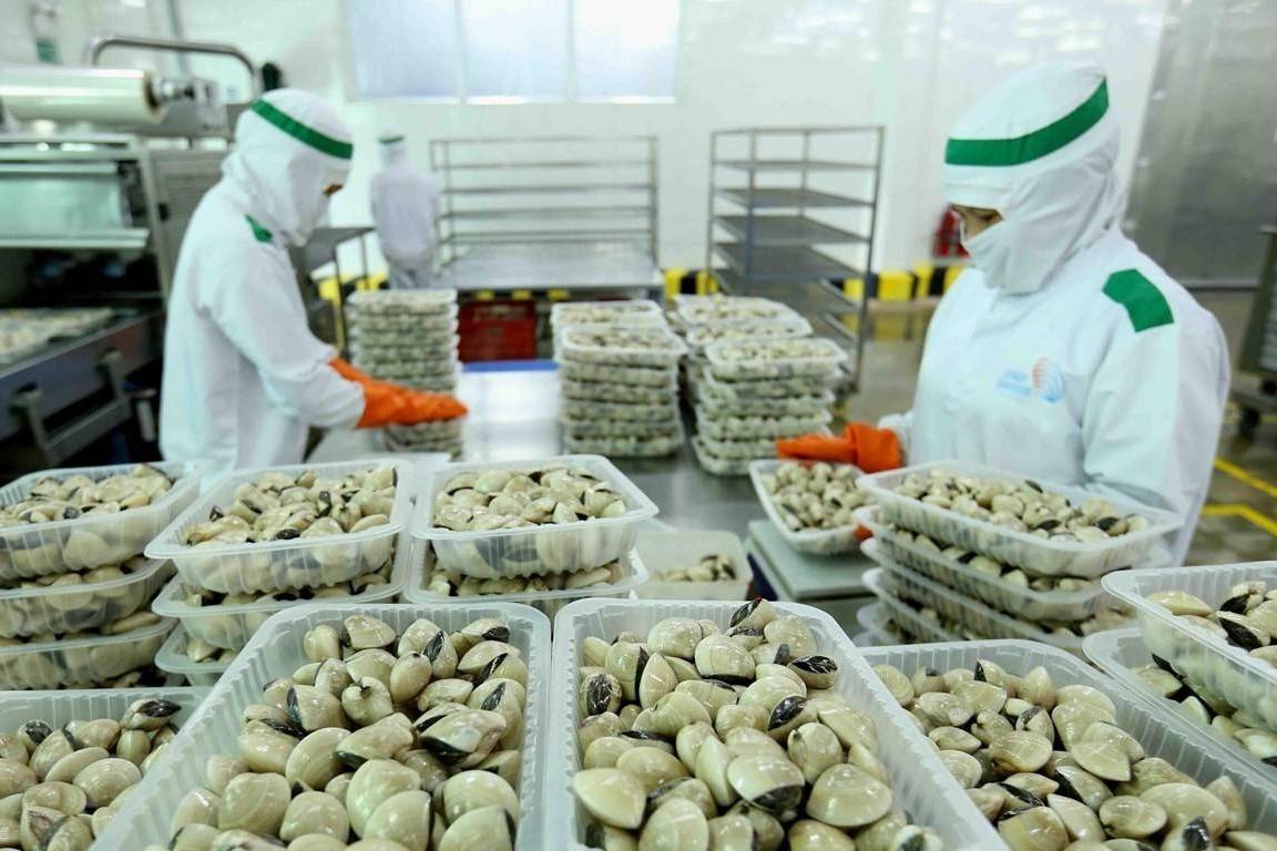 Nghêu Việt tăng tốc tại các thị trường chủ lực