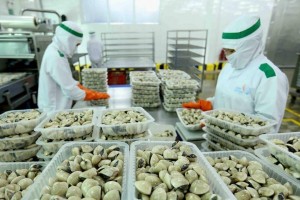 Nghêu Việt tăng tốc tại các thị trường chủ lực