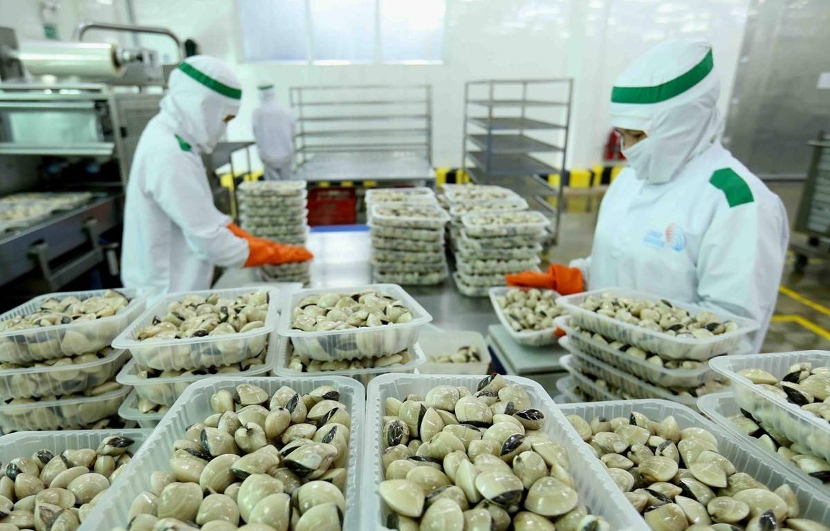 Nghêu Việt tăng tốc tại các thị trường chủ lực
