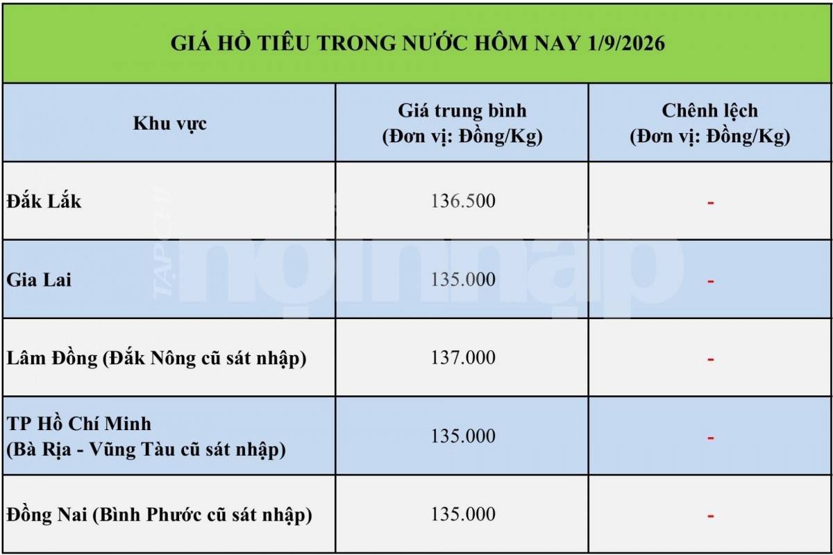 Giá tiêu hôm nay 31/8/2026: Thị trường trong nước đi ngang