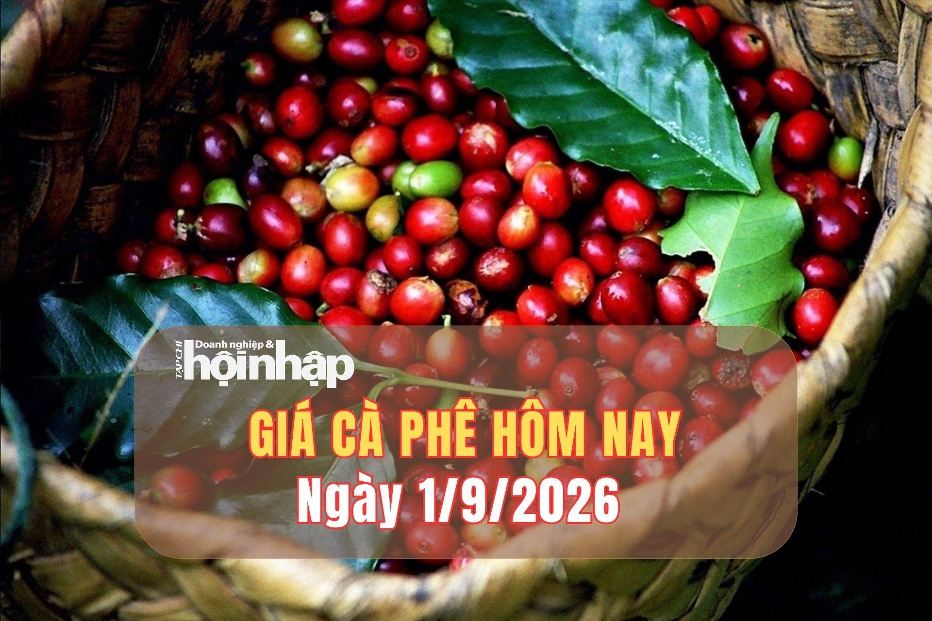 Giá cà phê hôm nay 1/9/2026: Tây Nguyên bật tăng, giá cao nhất 95.700 đồng/kg - Tạp chí Doanh nghiệp và Hội nhập