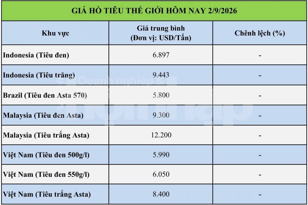 Giá tiêu hôm nay 1/9/2026: Thị trường trong nước tiếp tục đi ngang
