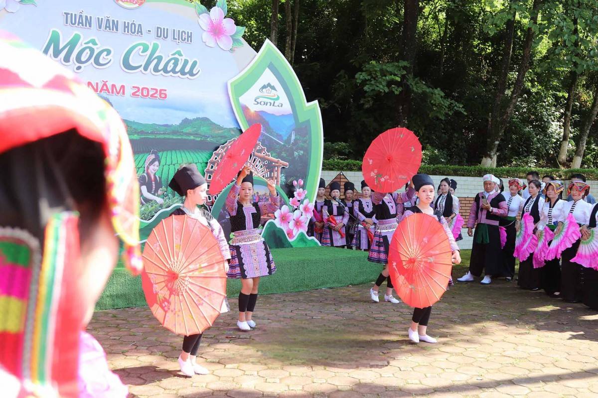 Sơn La: Mộc Châu rộn ràng sắc màu văn hóa trong Tết Độc lập