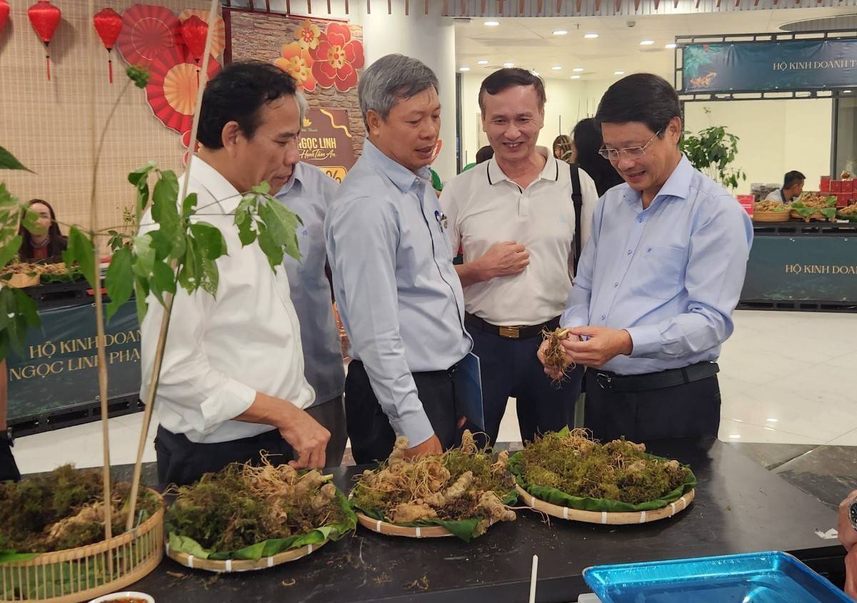 Đà Nẵng xây dựng chiến lược phát triển vùng trồng dược liệu