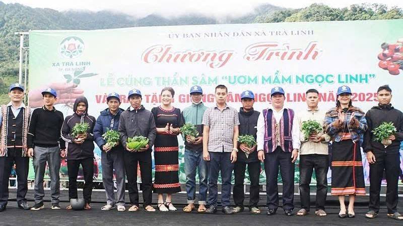 Đà Nẵng xây dựng chiến lược phát triển vùng trồng dược liệu