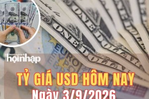 Tỷ giá USD hôm nay 3/9/2026: Đồng USD thế giới hạ nhiệt