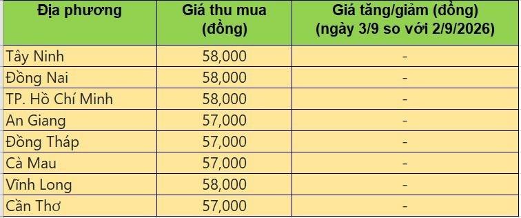 Bảng giá heo hơi tại miền Nam hôm nay 3/9/2026