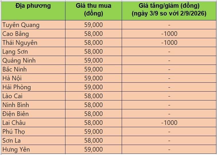 Bảng giá heo hơi tại miền Bắc hôm nay 3/9/2026