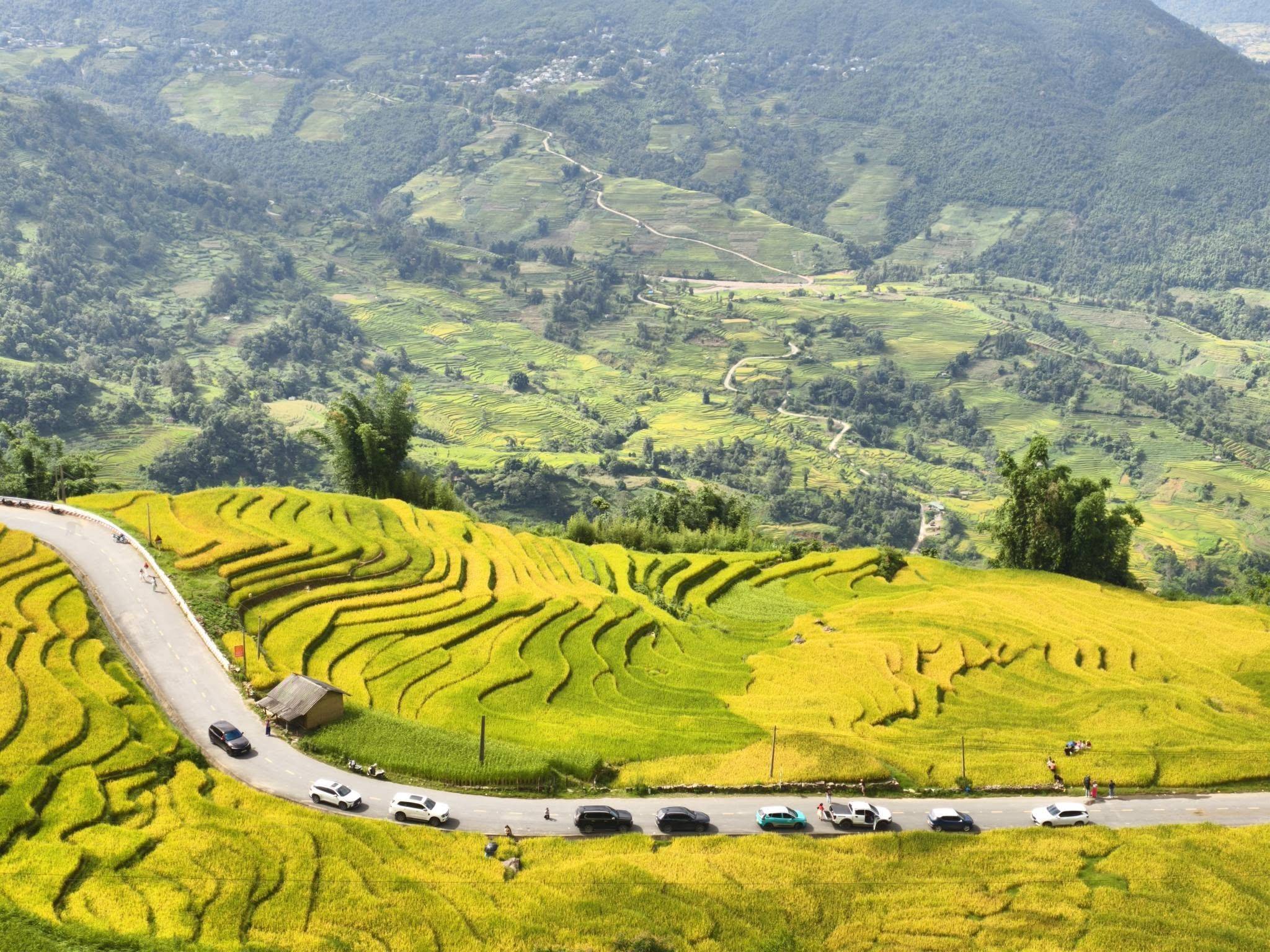 Lào Cai: Y Tý mùa vàng - Chạy marathon giữa ruộng bậc thang, check-in cung đường hình chữ S