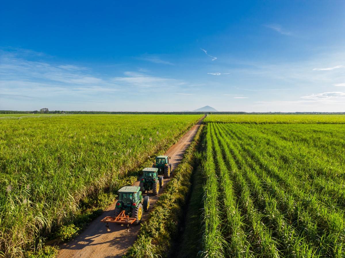 TTC tái cấu trúc sở hữu tại AgriS, định hướng dài hạn không thay đổi