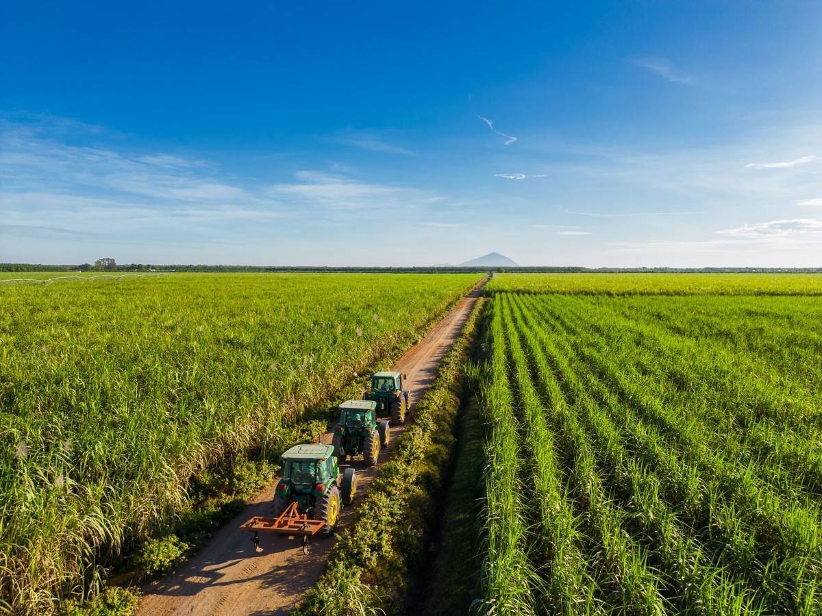 TTC tái cấu trúc sở hữu tại AgriS, định hướng dài hạn không thay đổi