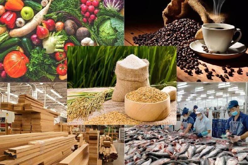Xuất khẩu nông, lâm, thủy sản 8 tháng năm 2026 tăng 7%, đạt gần 49,3 tỷ USD