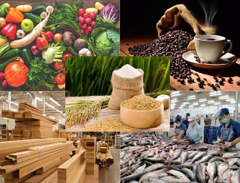 Xuất khẩu nông, lâm, thủy sản 8 tháng năm 2026 tăng 7%, đạt gần 49,3 tỷ USD