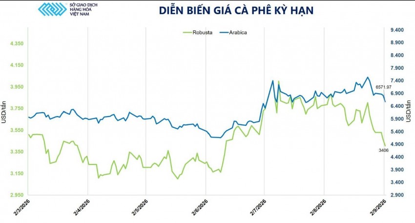 Nguồn cung Brazil tăng mạnh, giá cà phê robusta rơi sát đáy trong gần 3 tháng