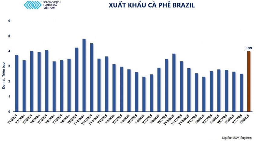 Nguồn cung Brazil tăng mạnh, giá cà phê robusta rơi sát đáy trong gần 3 tháng