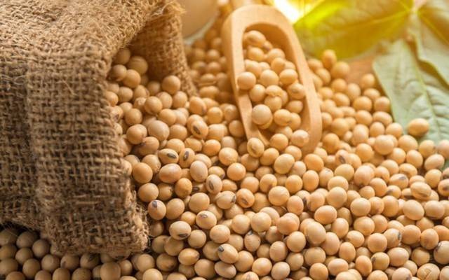 Giá đậu tương chịu áp lực điều chỉnh sau khi chạm đỉnh 2,5 năm