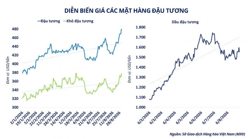 Giá đậu tương hạ nhiệt sau đỉnh 2,5 năm, điều gì đang gây sức ép?