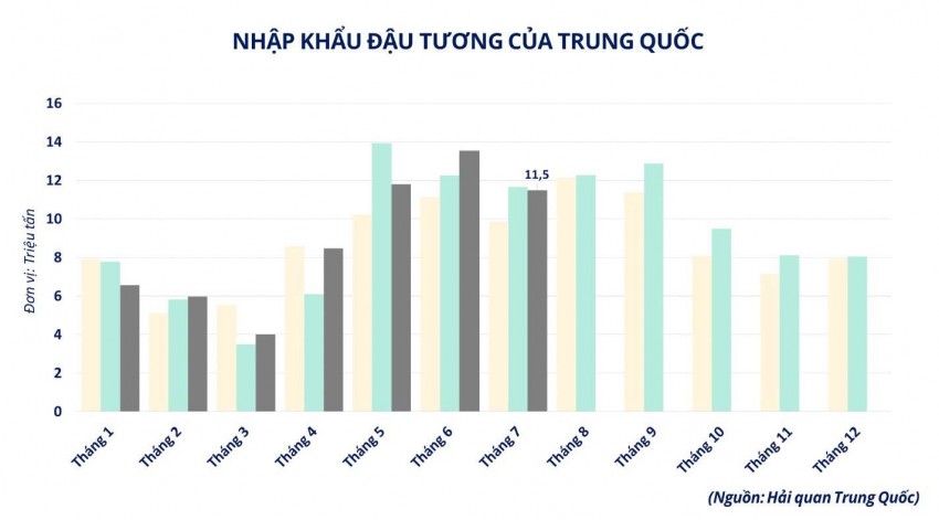 Giá đậu tương hạ nhiệt sau đỉnh 2,5 năm, điều gì đang gây sức ép?