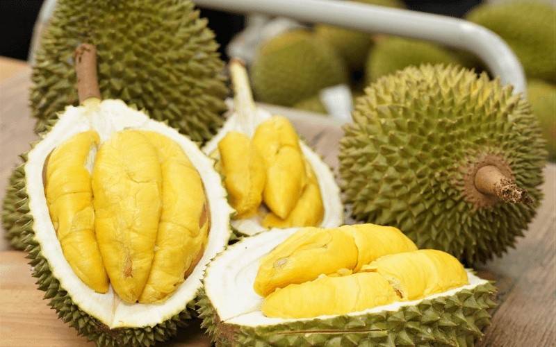 Sầu riêng Việt Nam đang tạo ra sức hút rất lớn trên thị trường quốc tế nhờ lợi thế thu hoạch rải vụ quanh năm, vị trí địa lý gần thị trường lớn như Trung Quốc và kim ngạch xuất khẩu tăng trưởng bứt phá đạt gần 1,8 tỷ USD trong 7 tháng đầu năm 2026.