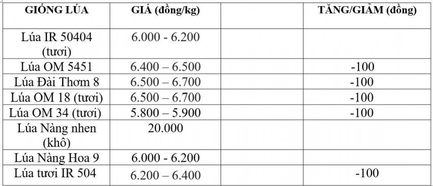 Bảng giá lúa hôm nay  4/9/2026