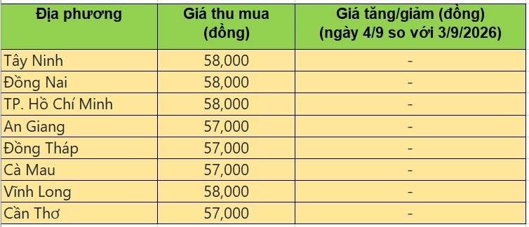 Bảng giá heo hơi tại miền Nam hôm nay 4/9/2026