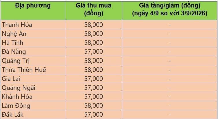 Bảng giá heo hơi tại miền Trung - Tây Nguyên hôm nay 4/9/2026