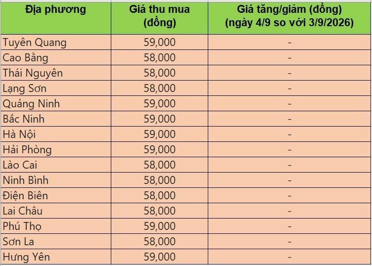 Bảng giá heo hơi tại miền Bắc hôm nay 4/9/2026