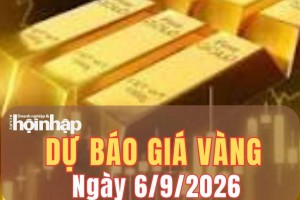 Dự báo giá vàng ngày mai 6/9: Giá vàng nhiều khả năng giảm tiếp