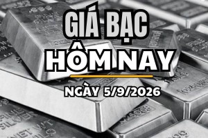 Giá bạc hôm nay 5/9 /2026: Giá bạc thế giới quay đầu giảm, trong nước diễn biến trái chiều