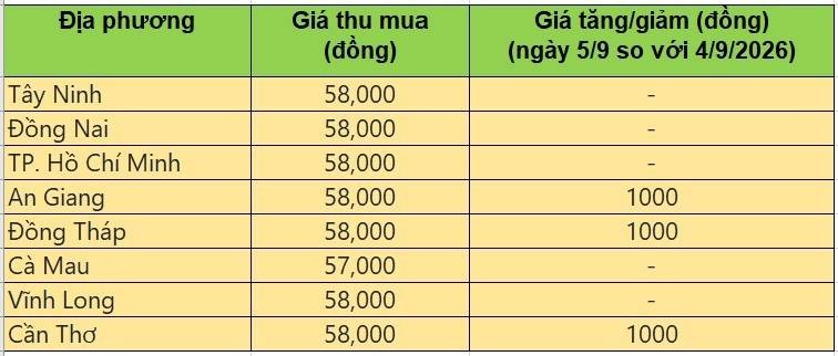 Bảng giá heo hơi tại miền Nam hôm nay 5/9/2026