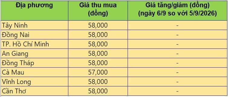 Bảng giá heo hơi tại miền Nam hôm nay 6/9/2026