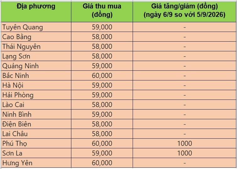 Bảng giá heo hơi tại miền Bắc hôm nay 6/9/2026