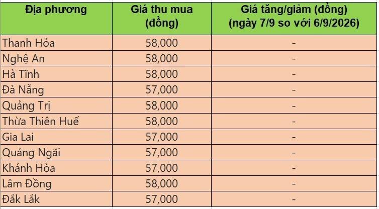 giá heo hơi
