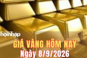 Giá vàng hôm nay 8/9/2026: Vàng miếng SJC, vàng nhẫn đồng loạt giảm