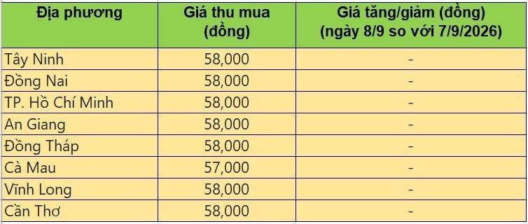 Bảng giá heo hơi tại miền Nam hôm nay 8/9/2026