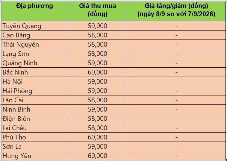 Bảng giá heo hơi tại miền Bắc hôm nay 8/9/2026