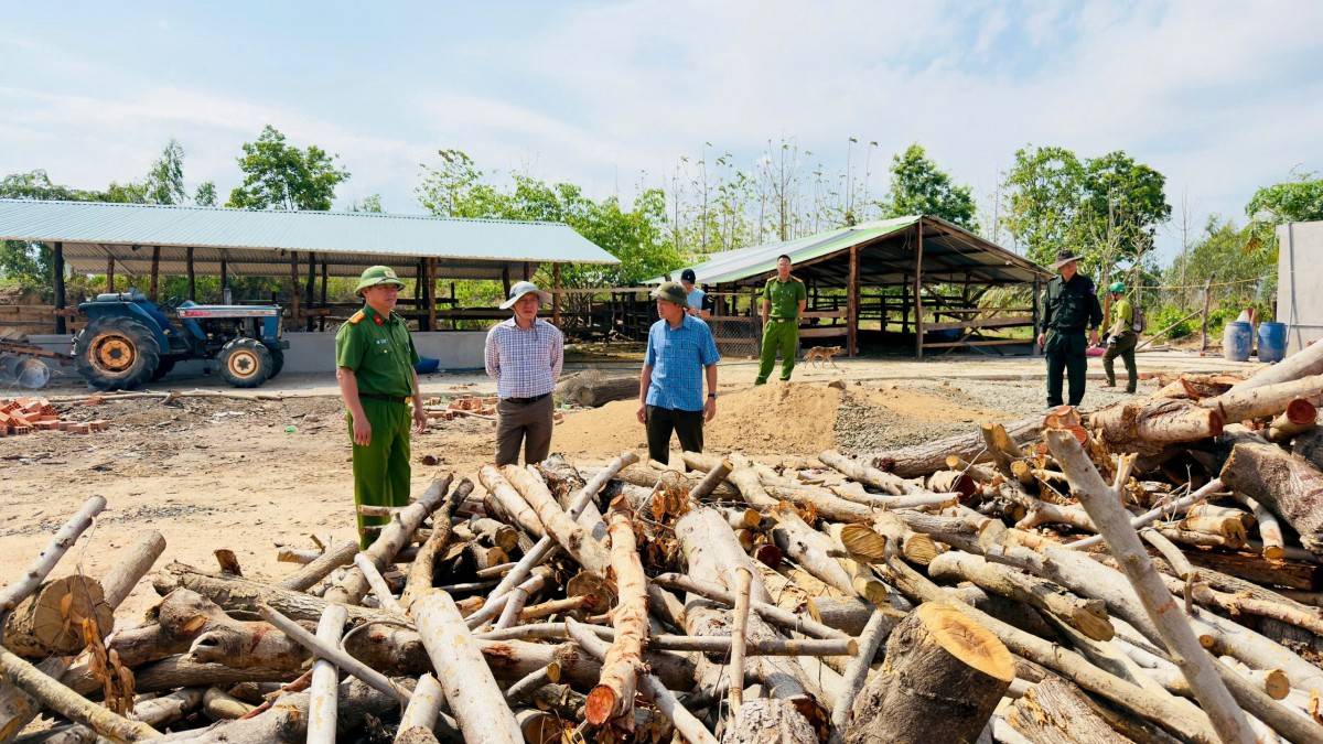 Đắk Lắk: Triệt phá đường dây “chung chi” bảo kê lâm sản lậu tại Công ty Lâm nghiệp Chư Phả