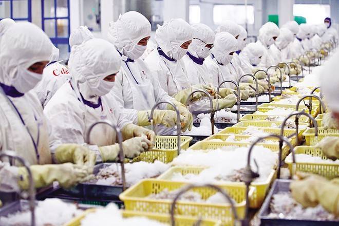 Nhiều năm liên tiếp, Mỹ là điểm đến quan trọng của hàng Việt.